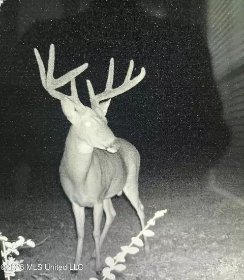 Other - 901 Sharon Rd, Canton, MS 39046 photo 20 of 26