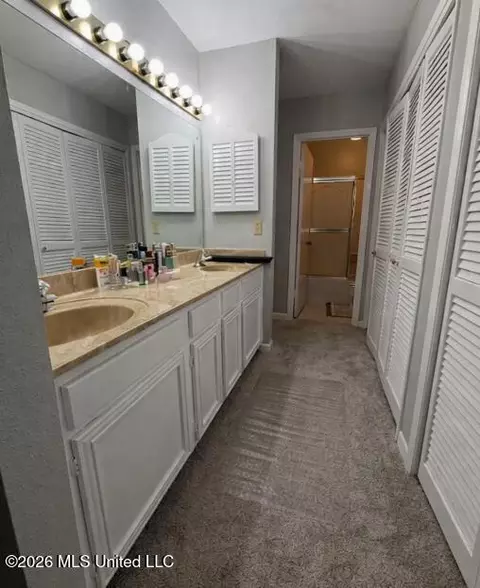 Bath - 5125 Old Canton Rd #202, Jackson, MS 39211 photo 3 of 5