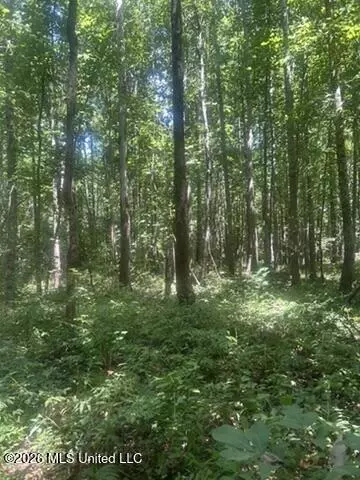 Hwy 72, Walnut, MS 38683 photo 6