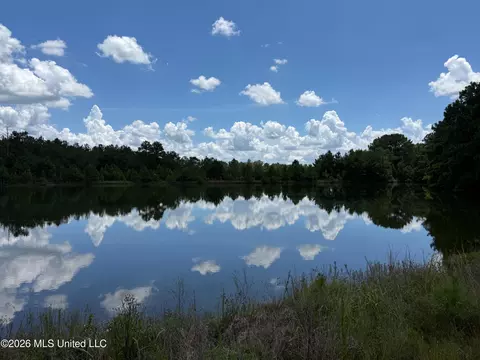 2895 Silver Run Rd, Poplarville, MS 39470