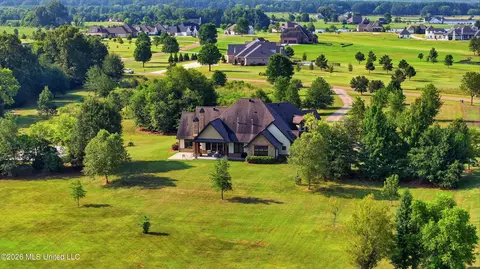 View/Area - 104 Chantry Ln, Madison, MS 39110 photo 5 of 20
