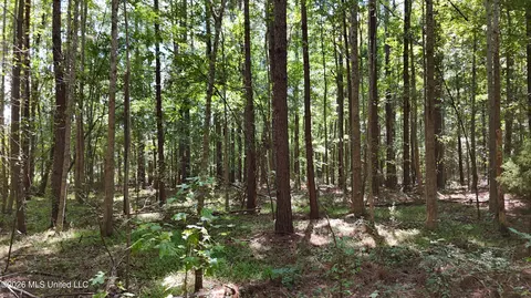 7 Jordan Rd, Natchez, MS 39120 photo 59