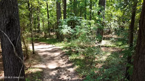 7 Jordan Rd, Natchez, MS 39120 photo 47