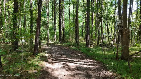 7 Jordan Rd, Natchez, MS 39120 photo 55