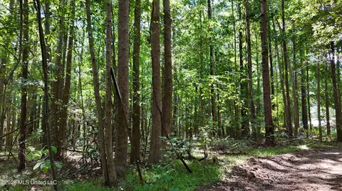 7 Jordan Rd, Natchez, MS 39120 photo 58
