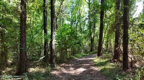 7 Jordan Rd, Natchez, MS 39120 photo 57