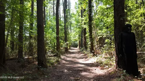 7 Jordan Rd, Natchez, MS 39120 photo 49