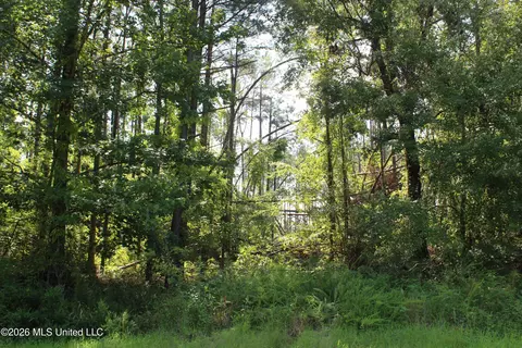 3001 Wilkins Chapel Rd, Holly Springs, MS 38635
