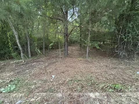 00 Meadow Dr, Byram, MS 39272 photo 7