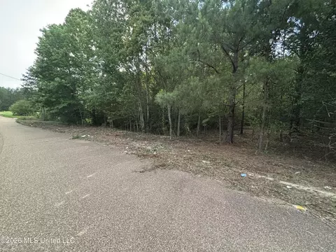 00 Meadow Dr, Byram, MS 39272 photo 3