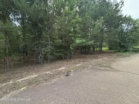 00 Meadow Dr, Byram, MS 39272 photo 4