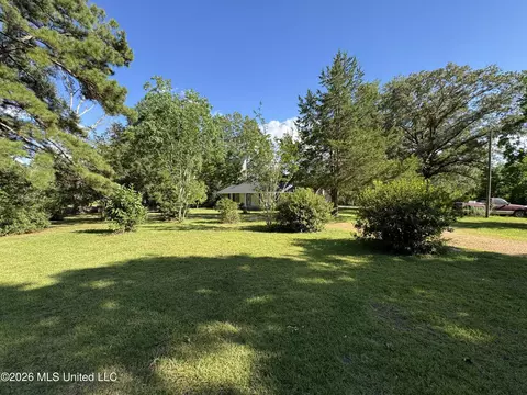 Exterior - 68 Dummy Line Rd, Jayess, MS 39641 photo 18 of 18
