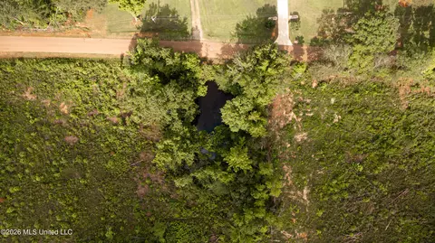 1 Pettey Rd, Forest, MS 39074 photo 9