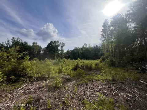 1 Pettey Rd, Forest, MS 39074 photo 3