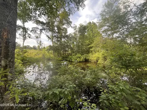 1 Pettey Rd, Forest, MS 39074 photo 4