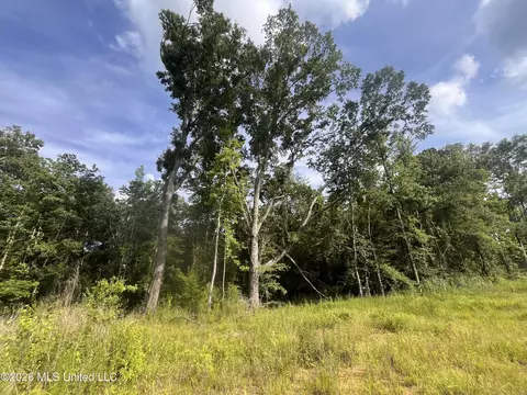 1 Pettey Rd, Forest, MS 39074 photo 7