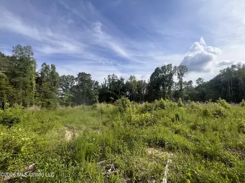 1 Pettey Rd, Forest, MS 39074 photo 2