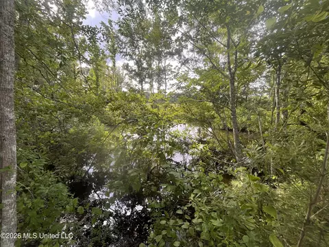 1 Pettey Rd, Forest, MS 39074 photo 5
