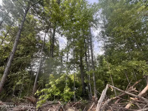 1 Pettey Rd, Forest, MS 39074 photo 6