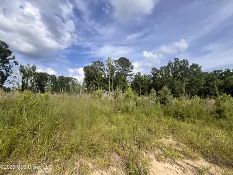 2 Pettey Rd, Forest, MS 39074 photo 4