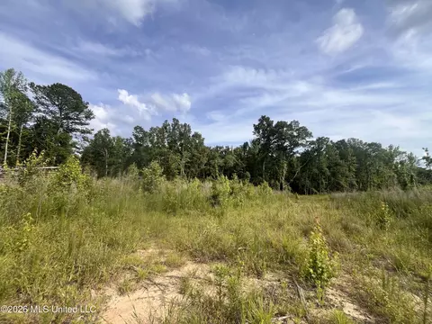 2 Pettey Rd, Forest, MS 39074 photo 3