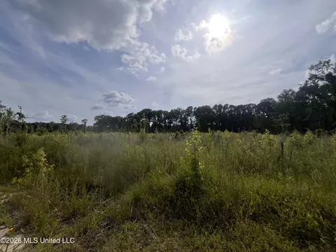 2 Pettey Rd, Forest, MS 39074 photo 2