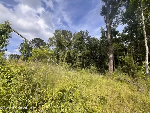 2 Pettey Rd, Forest, MS 39074 photo 6