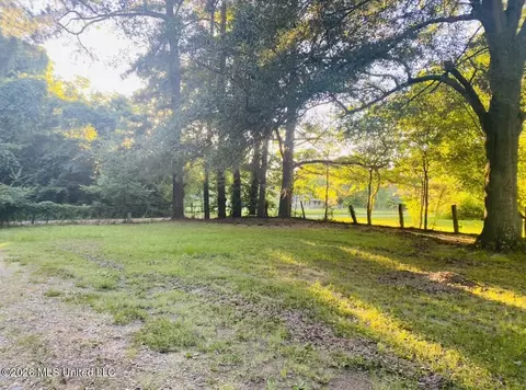 8910 Old Highway 61, Walls, MS 38680 photo 2