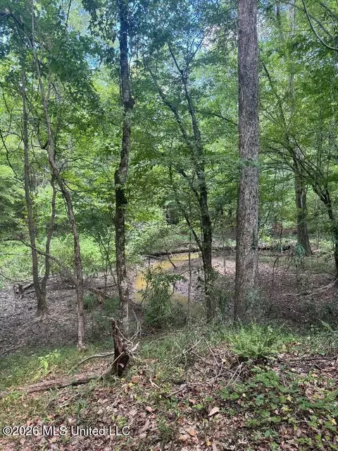 Highway 33, Roxie, MS 39661 photo 28