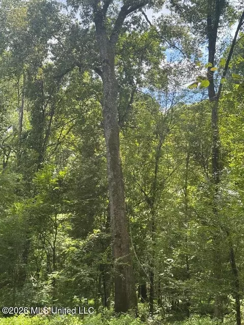 Highway 33, Roxie, MS 39661 photo 29
