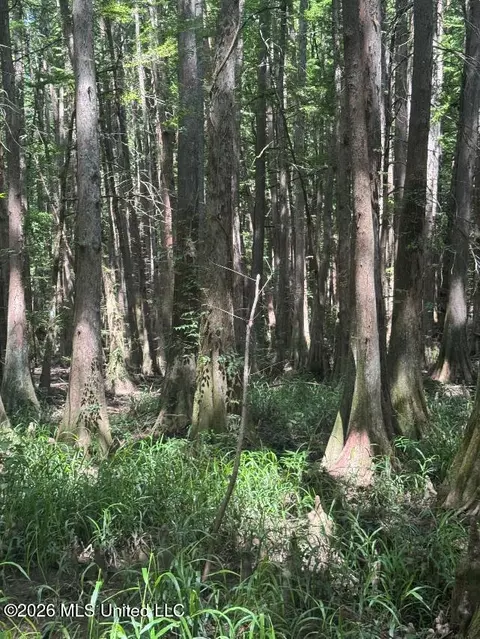 Highway 33, Roxie, MS 39661 photo 24