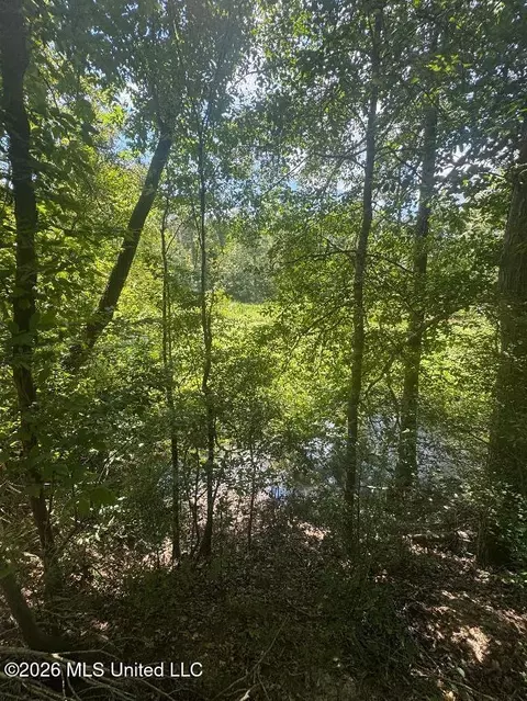 Highway 33, Roxie, MS 39661 photo 16