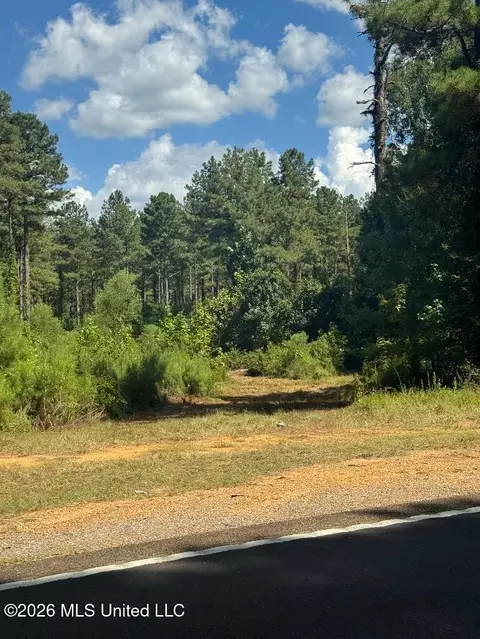 Highway 33, Roxie, MS 39661 photo 2