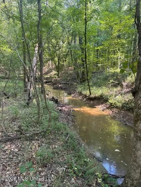 Highway 33, Roxie, MS 39661 photo 10