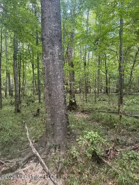 Highway 33, Roxie, MS 39661 photo 31