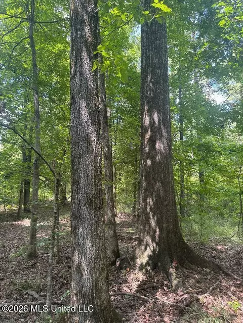 Highway 33, Roxie, MS 39661 photo 27