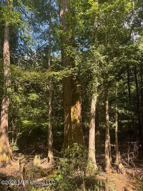 Highway 33, Roxie, MS 39661 photo 15