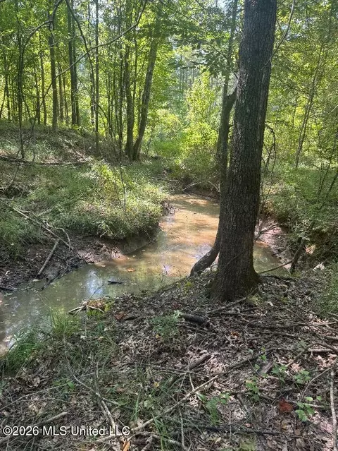 Highway 33, Roxie, MS 39661 photo 9