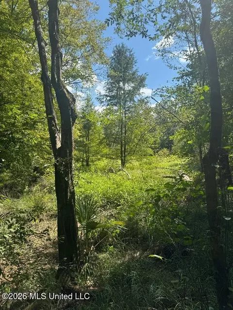 Highway 33, Roxie, MS 39661 photo 13