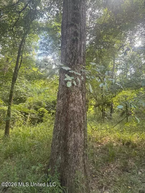 00 Nelson Corner Rd, Roxie, MS 39661 photo 9