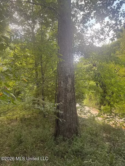 00 Nelson Corner Rd, Roxie, MS 39661 photo 12
