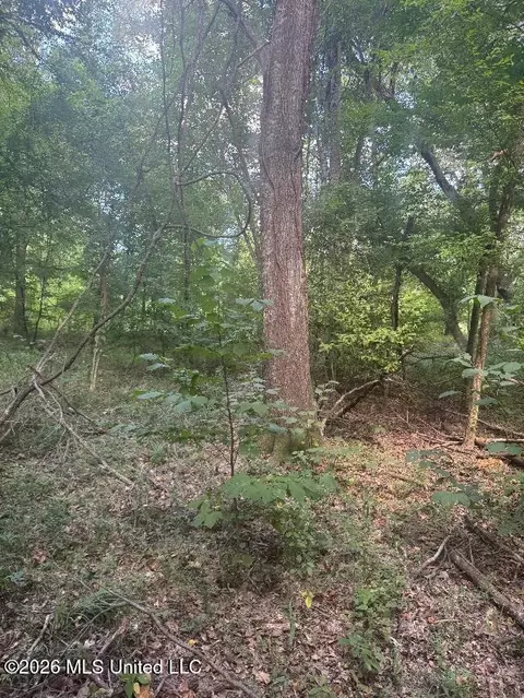 00 Nelson Corner Rd, Roxie, MS 39661 photo 5