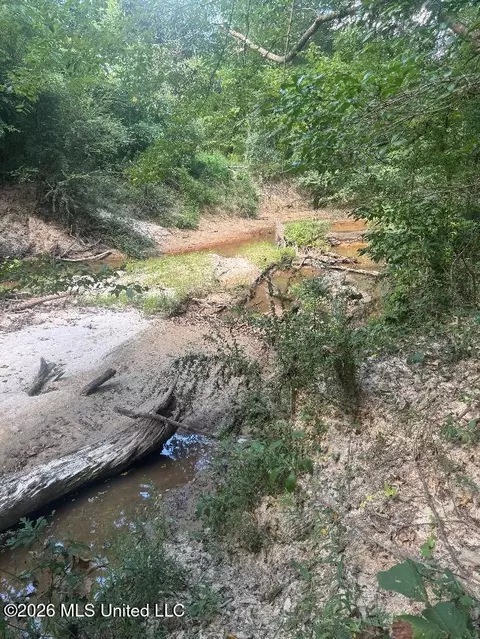 00 Nelson Corner Rd, Roxie, MS 39661 photo 10