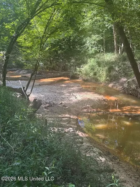 00 Nelson Corner Rd, Roxie, MS 39661 photo 3