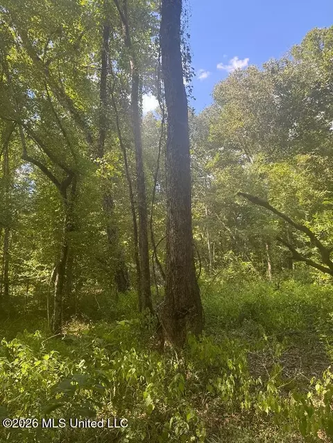 00 Nelson Corner Rd, Roxie, MS 39661 photo 2