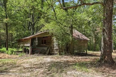 478 Potluck Rd, Canton, MS 39046 photo 13