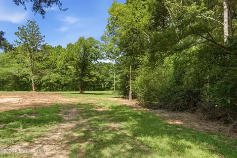478 Potluck Rd, Canton, MS 39046 photo 4