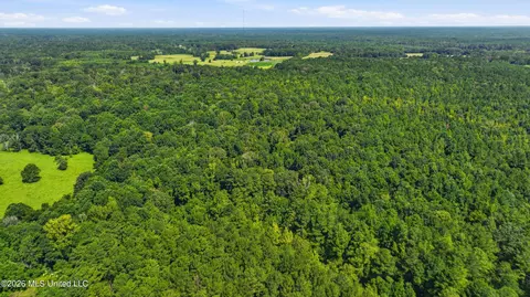 478 Potluck Rd, Canton, MS 39046 photo 17
