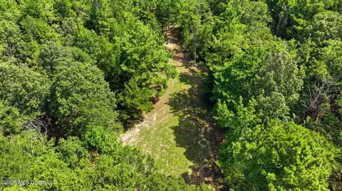 478 Potluck Rd, Canton, MS 39046 photo 20