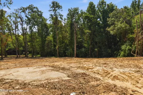 478 Potluck Rd, Canton, MS 39046 photo 5